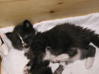 2_1M�dchen_26_6_09