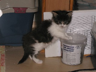 2_1_M�dchen_13_2_10