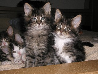 4_3_M�dchen_14_11_0902