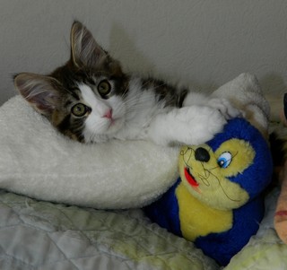 H1-M�dchen-09060121