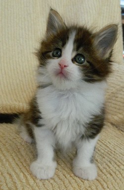 H1M�dchen3004121102