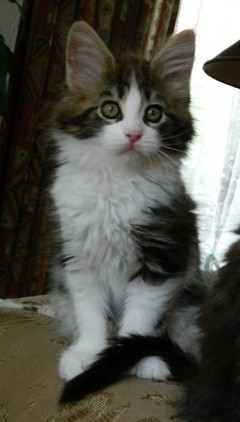 H1_M�dchen_25051202