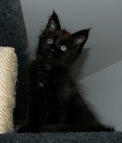 I-M�dchen-01062012