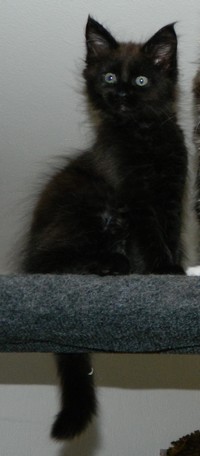 I-M�dchen-010620123