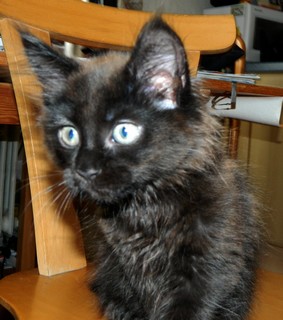 I-M�dchen-08062012