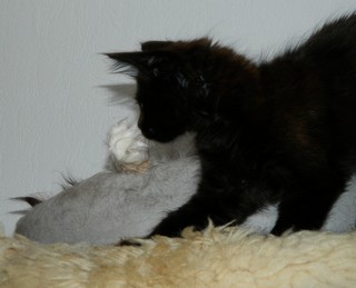 I-M�dchen-090620124