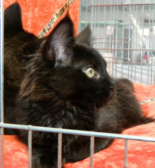 I2-M�dchen-230620124