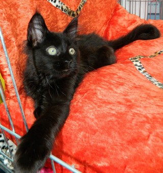 I2M�dchen230620121