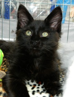 I2M�dchen230620125