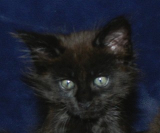 I2_M�dchen_2505122