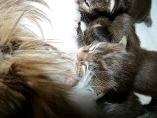 M�dchen2 13 Tage alt