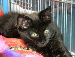 IM�dchen23062012202